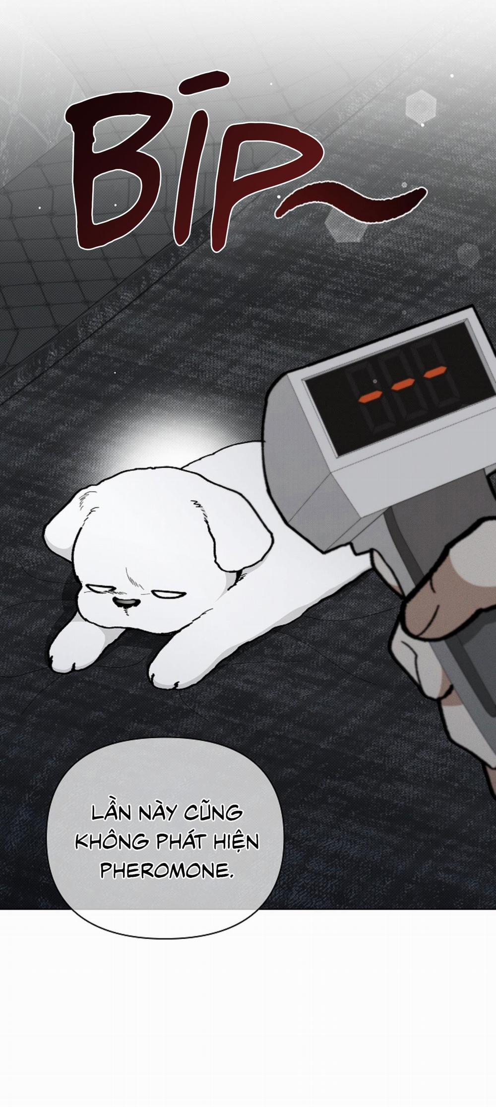 ĐỪNG ĐỘNG VÀO CÚN CON! 7 trang 7