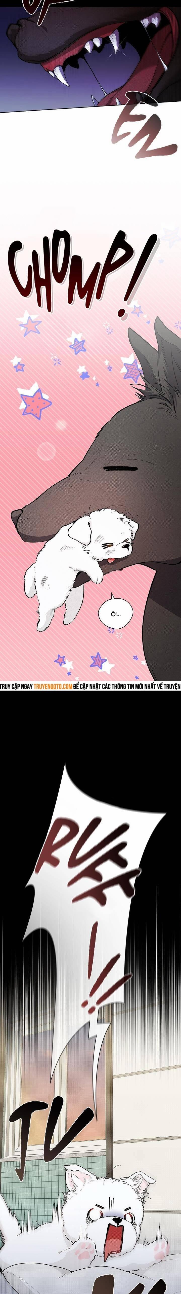 Đừng Đùa Với Cún Con 1 trang 4