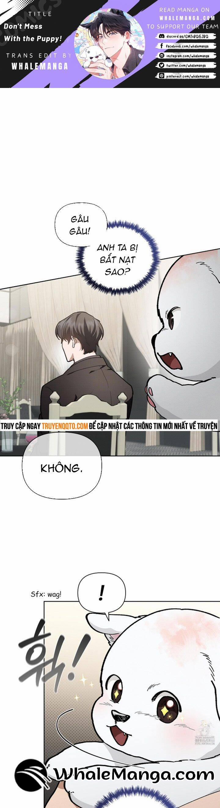 Đừng Đùa Với Cún Con 11 trang 1