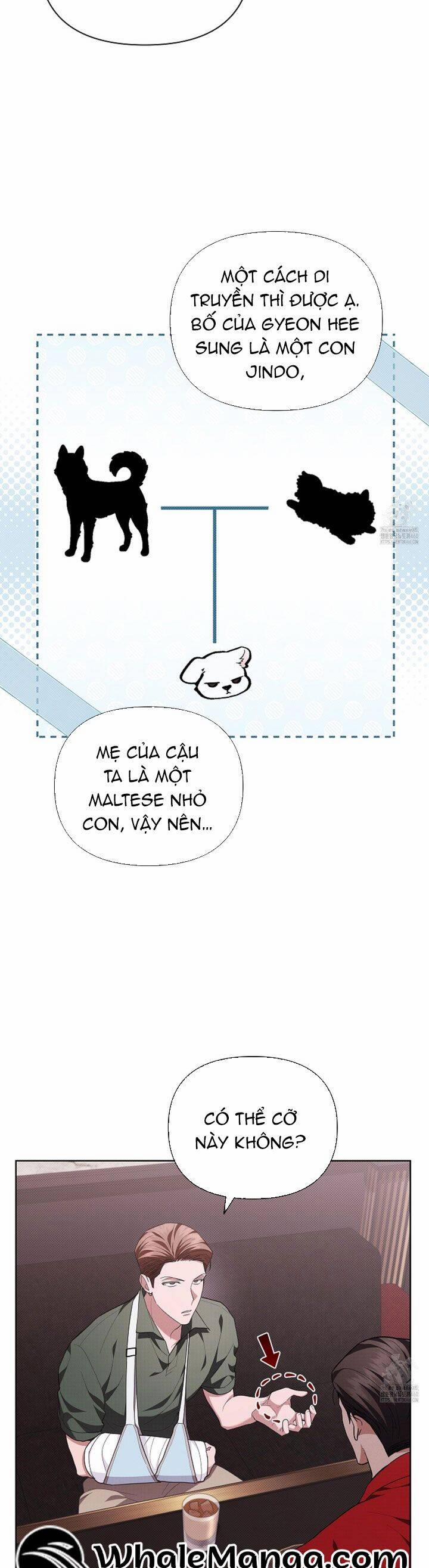 Đừng Đùa Với Cún Con 11 trang 34