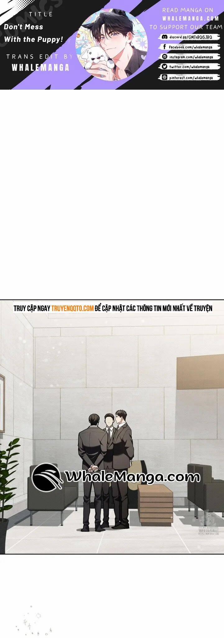 Đừng Đùa Với Cún Con 12 trang 1