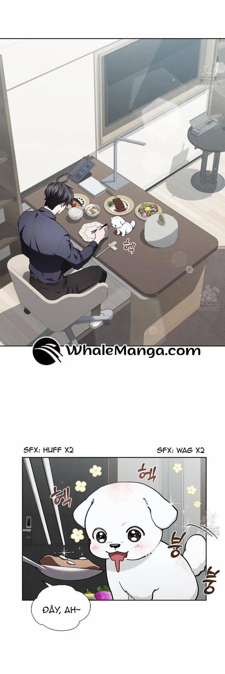 Đừng Đùa Với Cún Con 12 trang 24