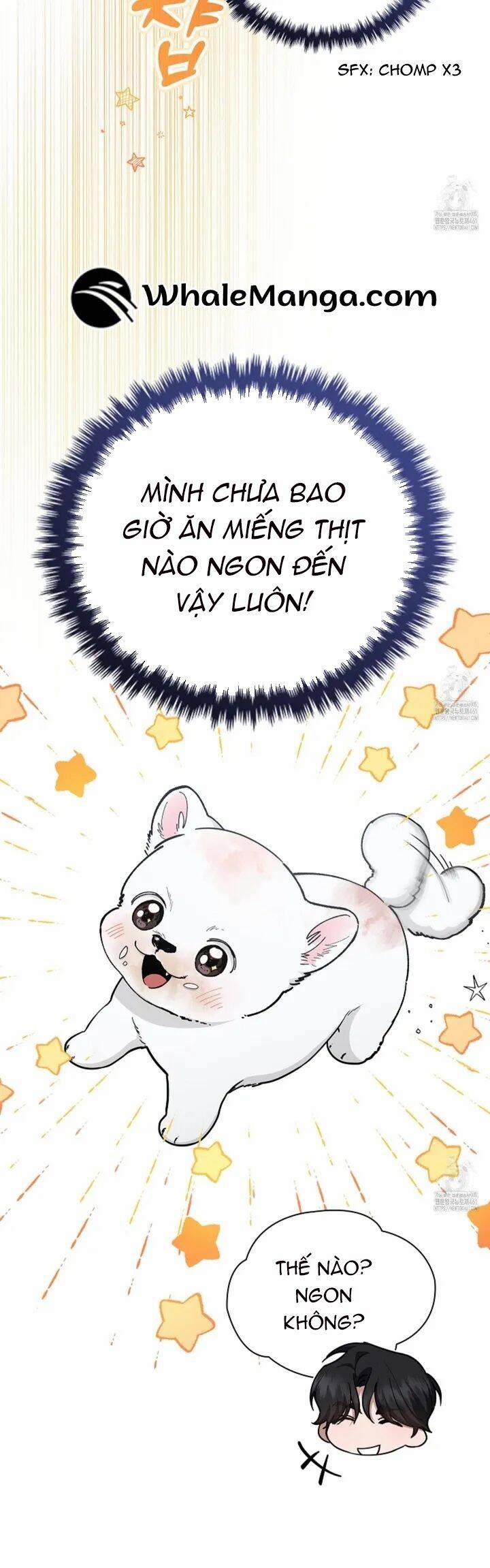 Đừng Đùa Với Cún Con 12 trang 26