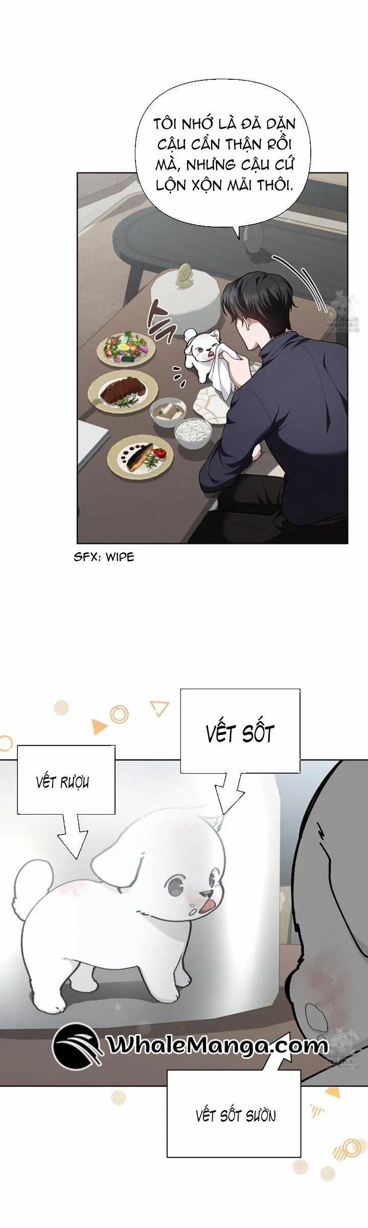 Đừng Đùa Với Cún Con 12 trang 28