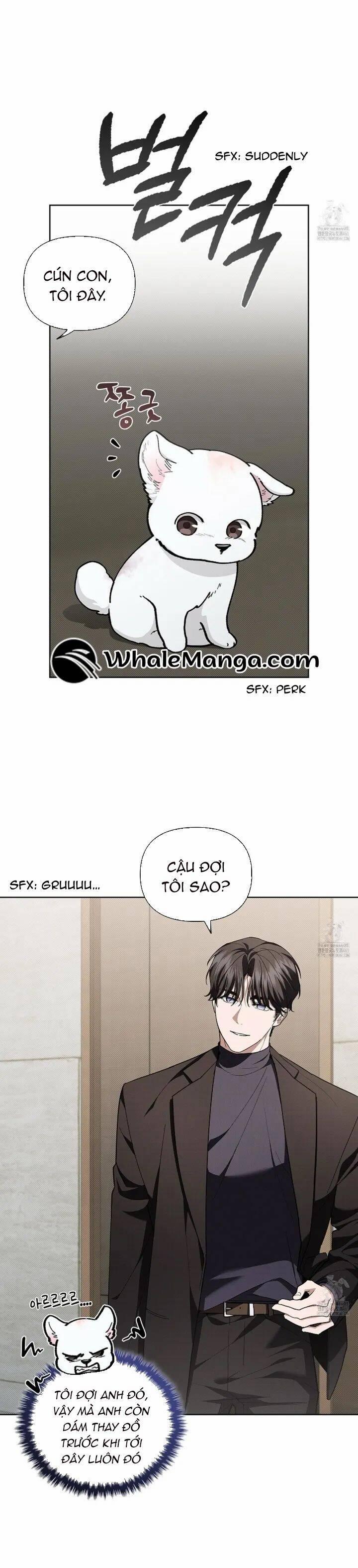 Đừng Đùa Với Cún Con 12 trang 6