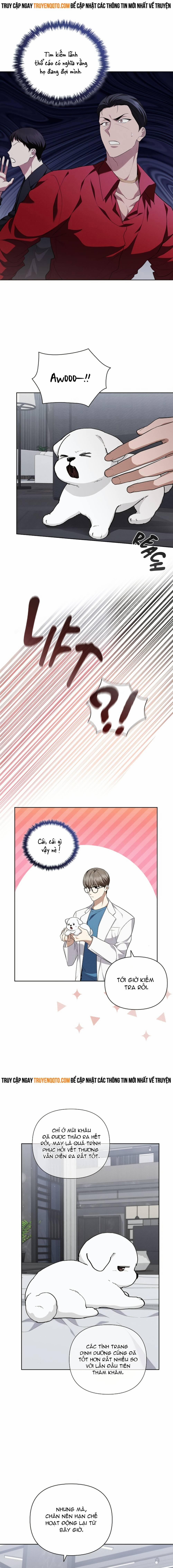 Đừng Đùa Với Cún Con 13 trang 12