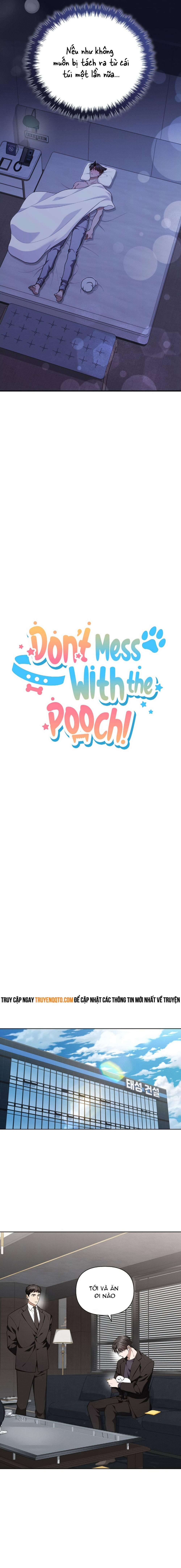 Đừng Đùa Với Cún Con 13 trang 5