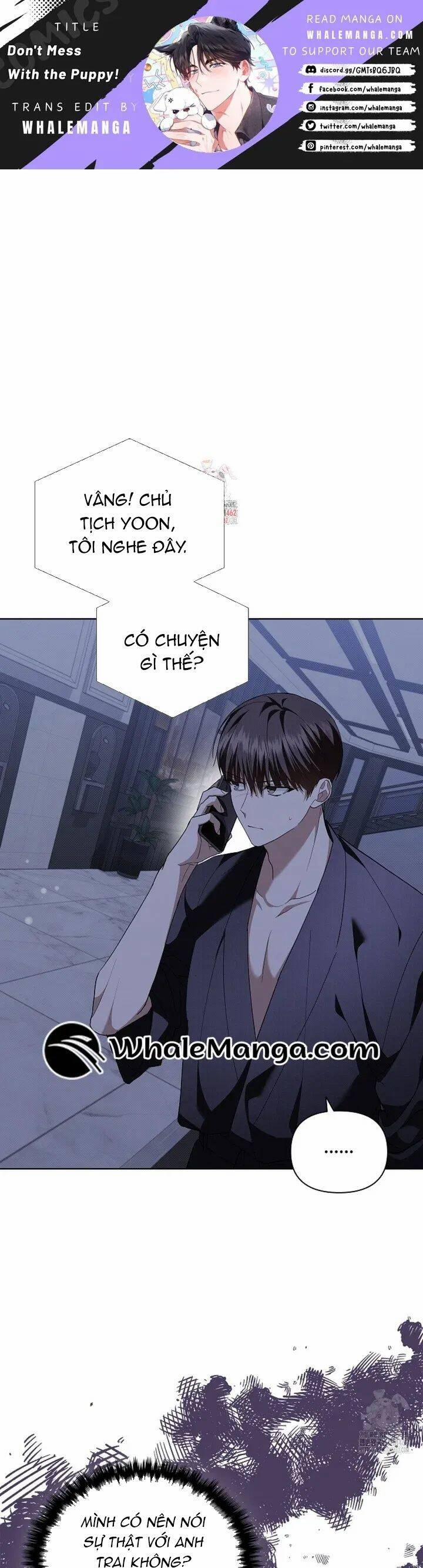 Đừng Đùa Với Cún Con 14 trang 1