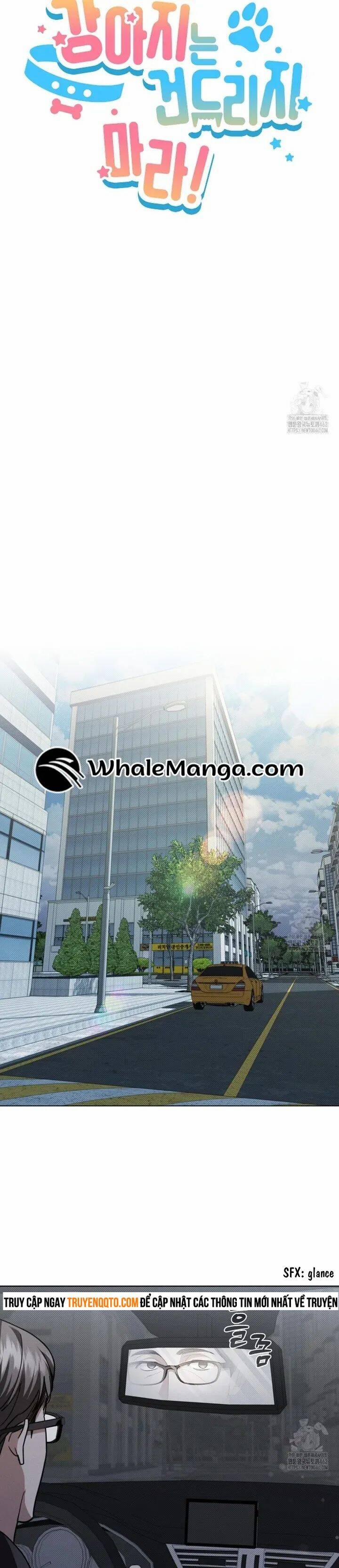 Đừng Đùa Với Cún Con 14 trang 8