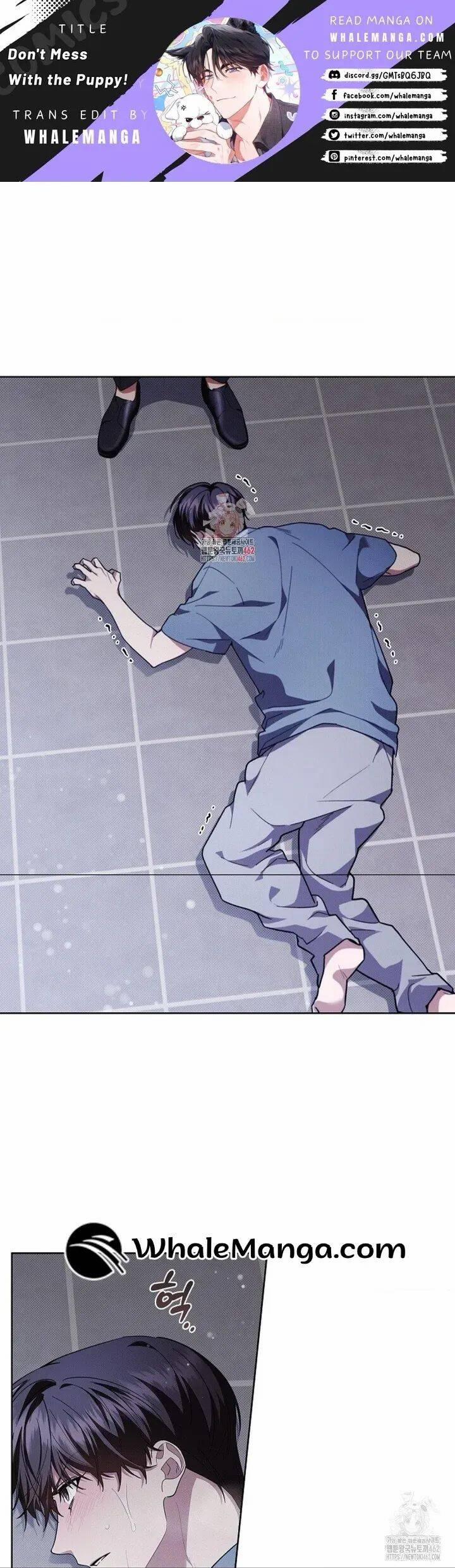 Đừng Đùa Với Cún Con 15 trang 1