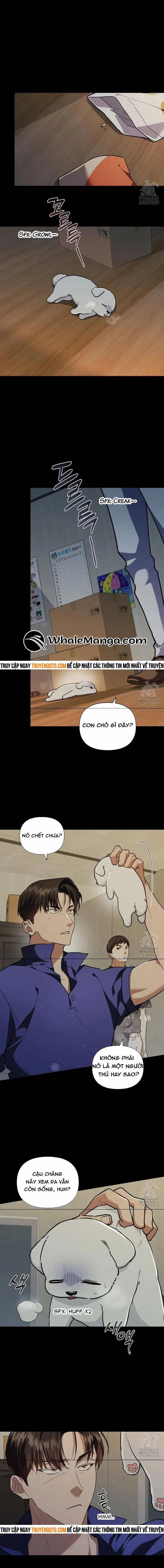 Đừng Đùa Với Cún Con 16 trang 3