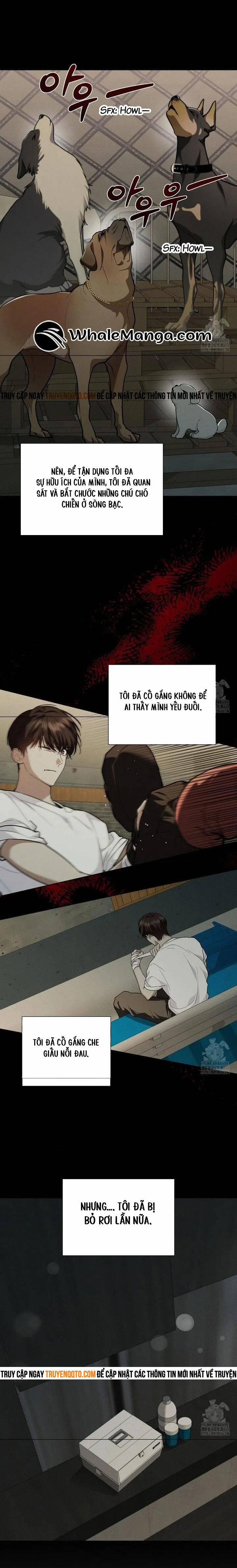 Đừng Đùa Với Cún Con 16 trang 7