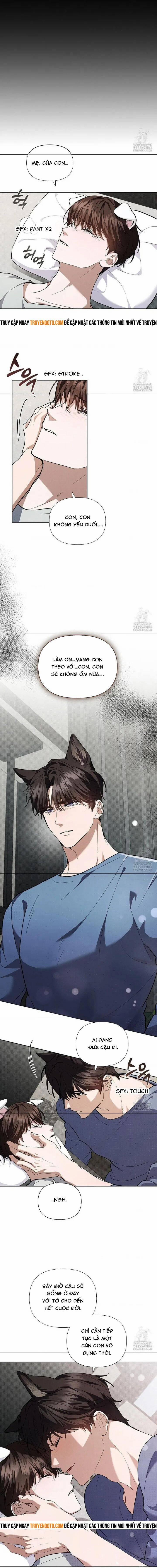 Đừng Đùa Với Cún Con 16 trang 8