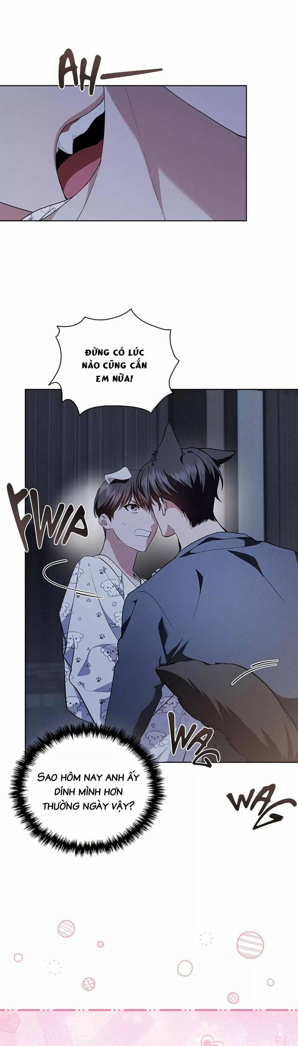 Đừng Đùa Với Cún Con 18 trang 52