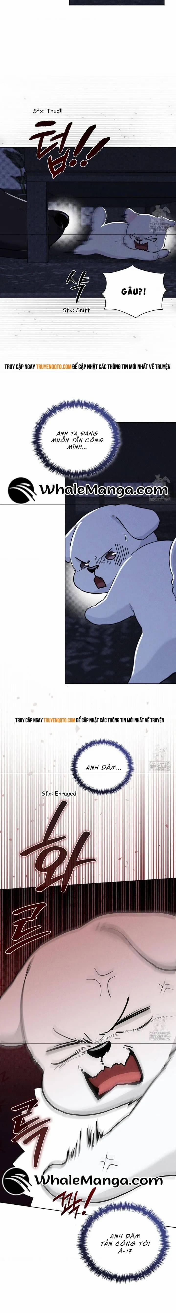 Đừng Đùa Với Cún Con 19 trang 10