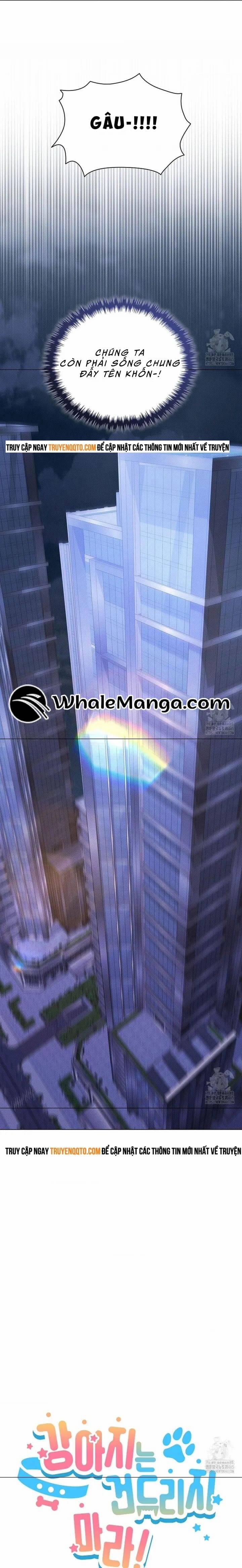 Đừng Đùa Với Cún Con 19 trang 11