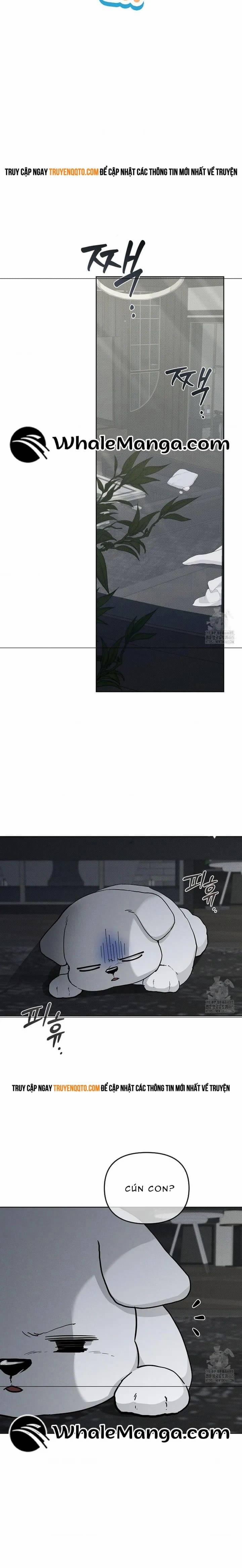 Đừng Đùa Với Cún Con 19 trang 12