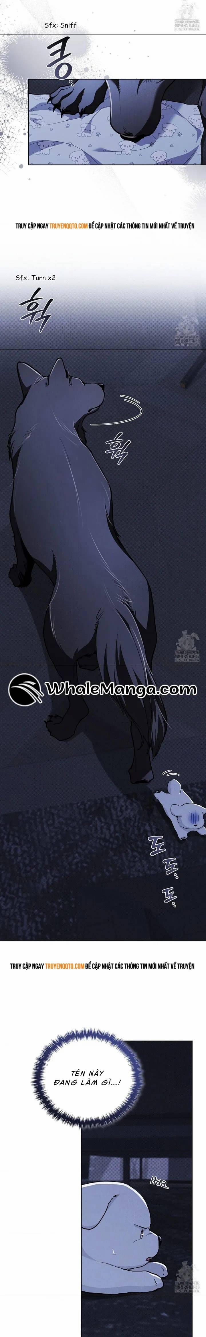 Đừng Đùa Với Cún Con 19 trang 9