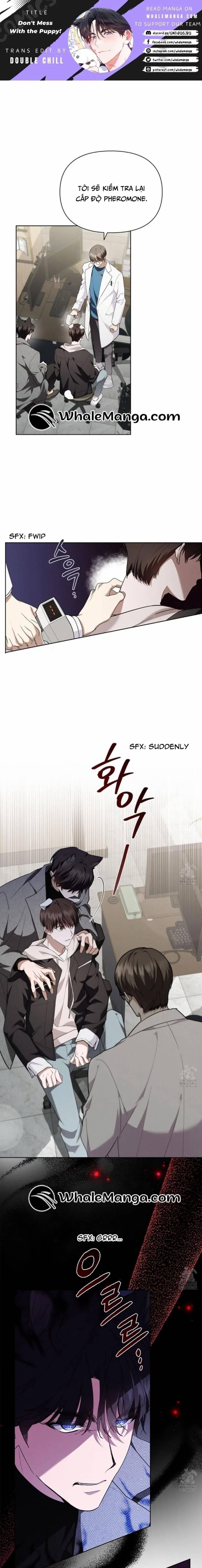 Đừng Đùa Với Cún Con 20 trang 1