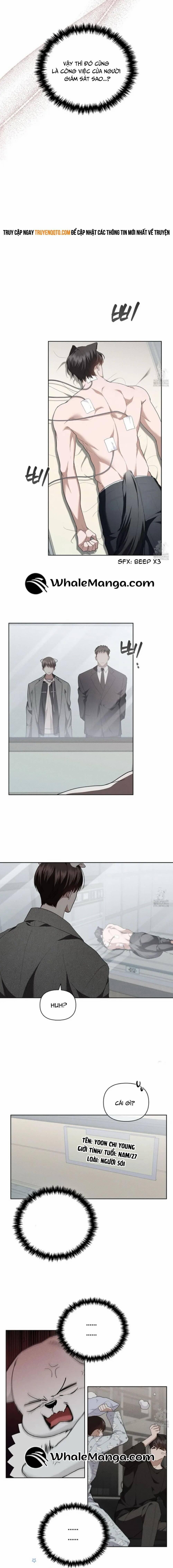 Đừng Đùa Với Cún Con 20 trang 15