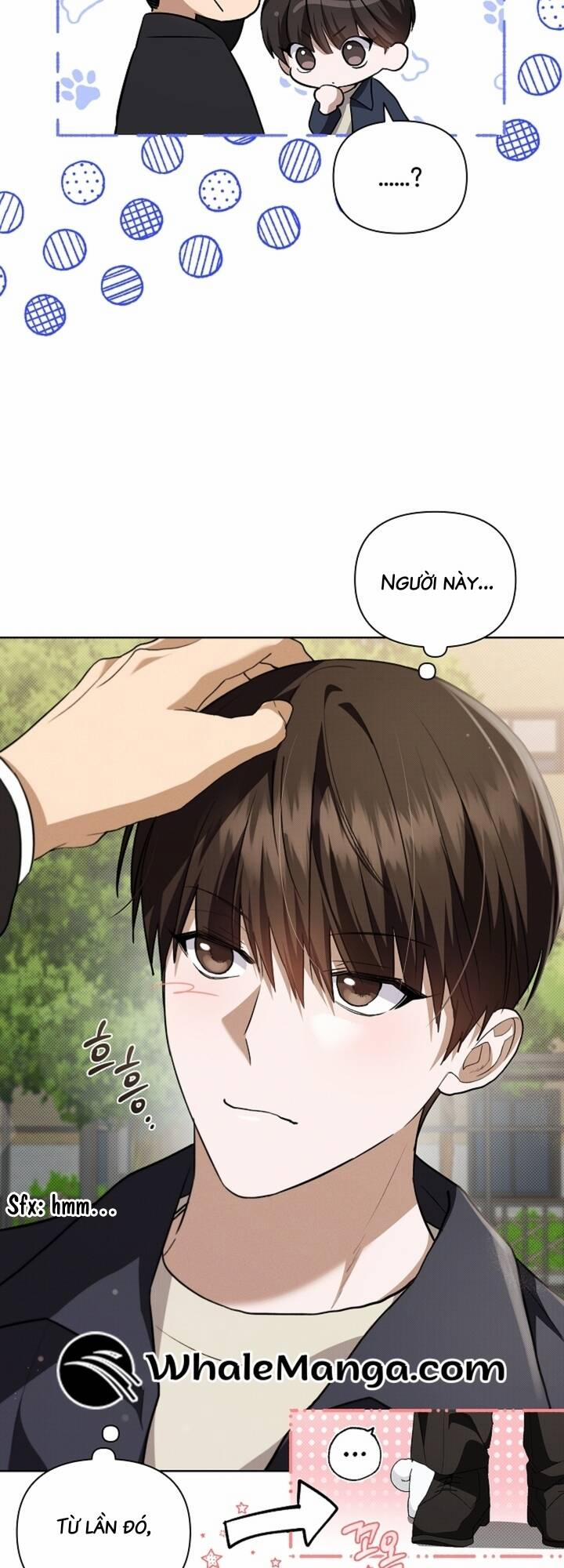 Đừng Đùa Với Cún Con 23 trang 29