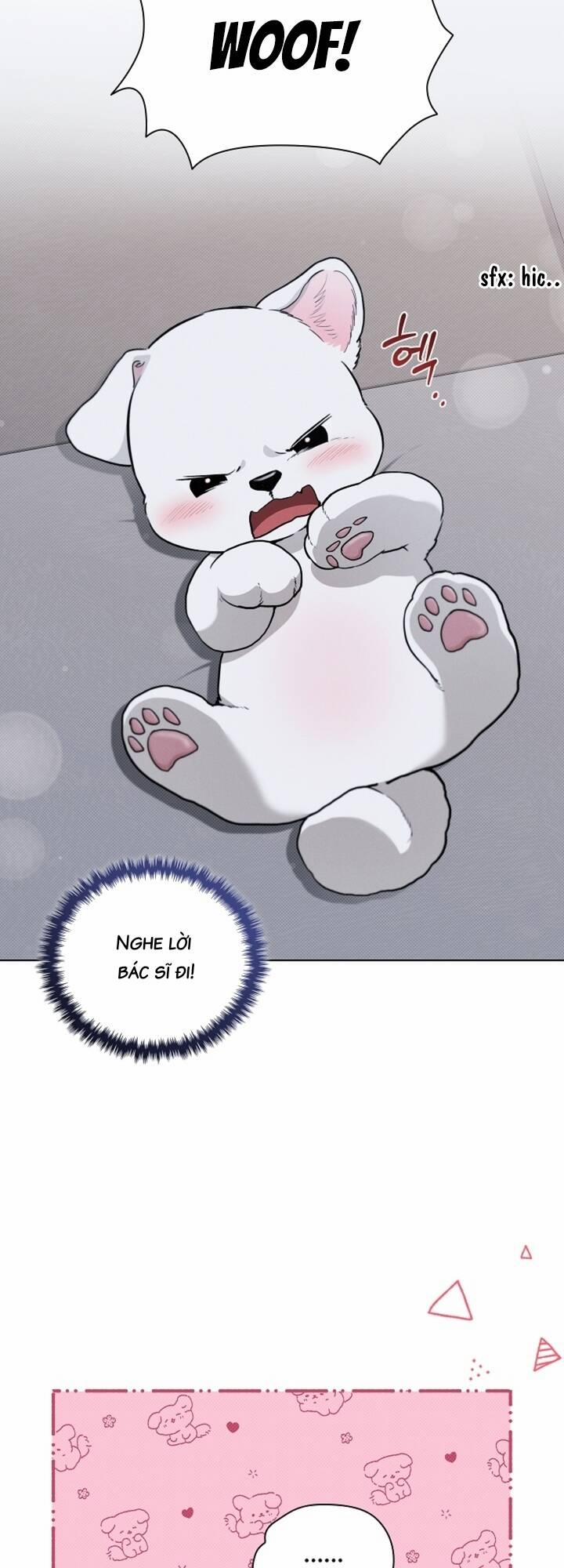 Đừng Đùa Với Cún Con 23 trang 8