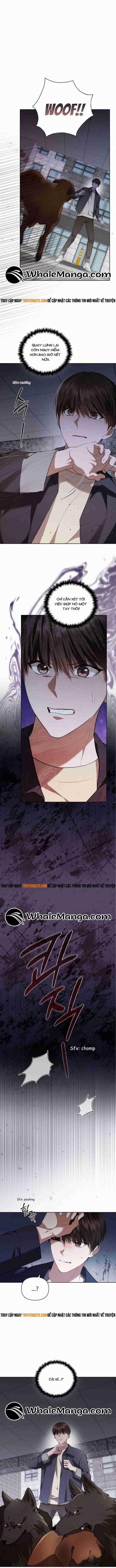 Đừng Đùa Với Cún Con 24 trang 1