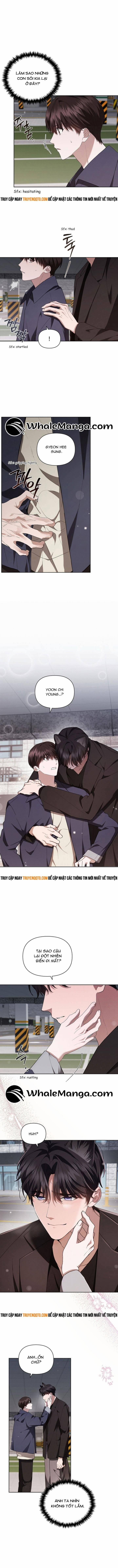 Đừng Đùa Với Cún Con 24 trang 2