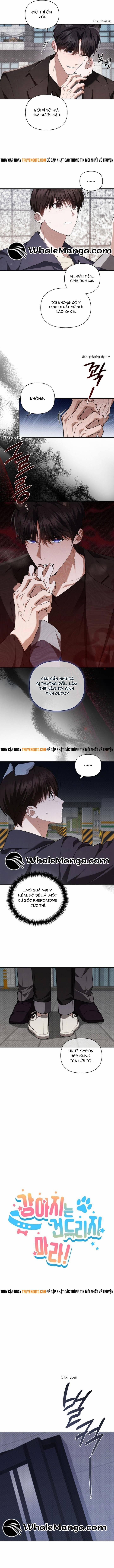 Đừng Đùa Với Cún Con 24 trang 3