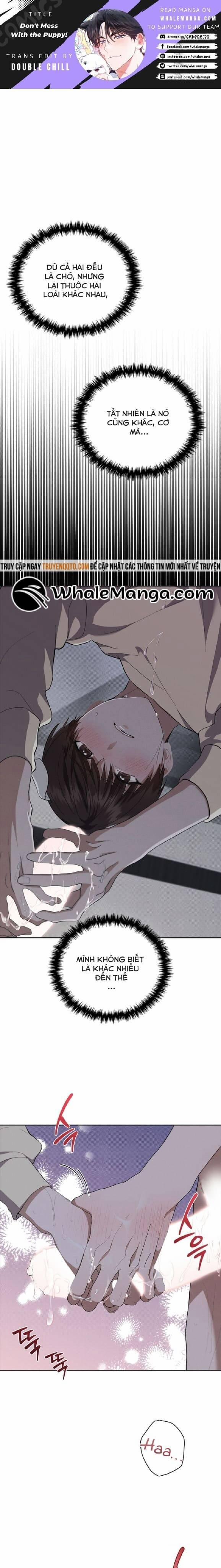 Đừng Đùa Với Cún Con 25 trang 1