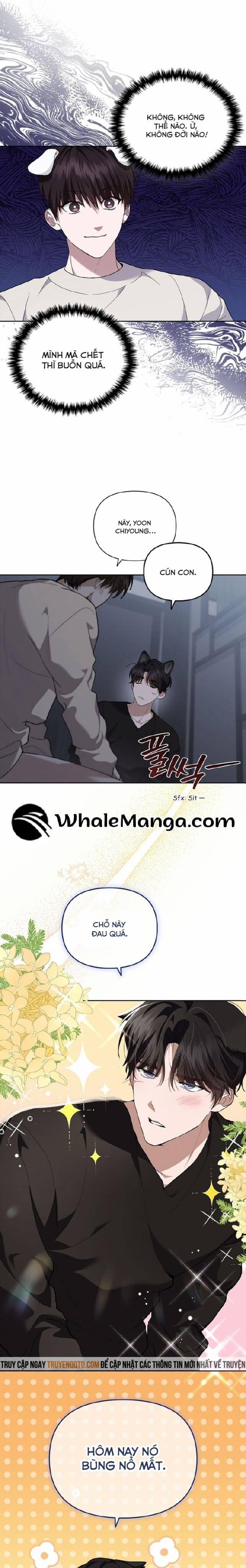 Đừng Đùa Với Cún Con 25 trang 7