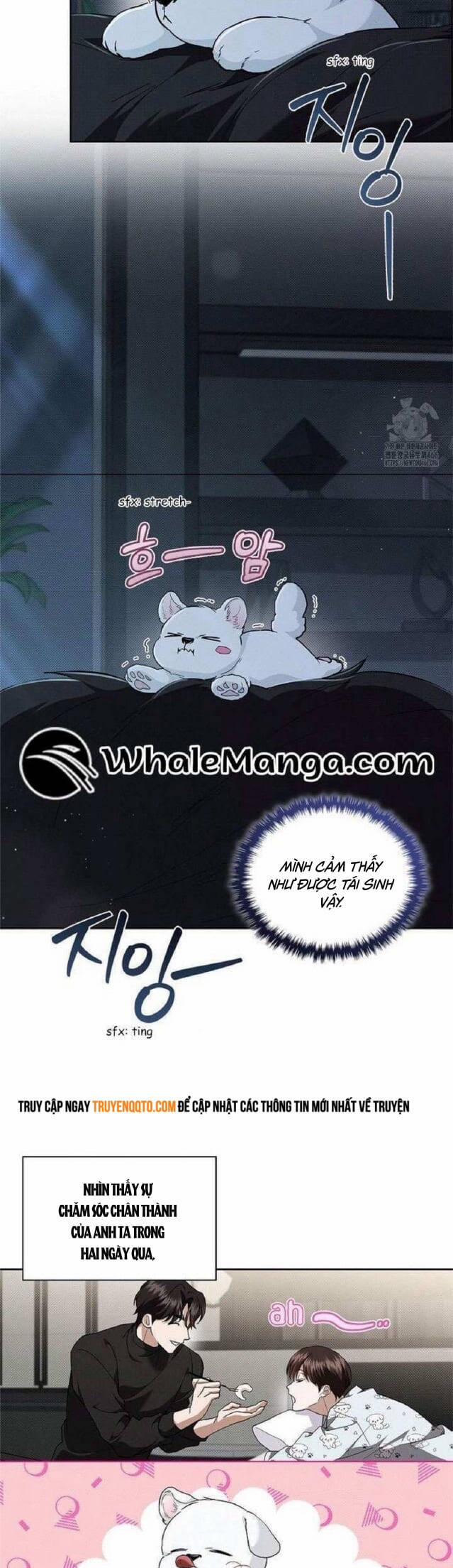 Đừng Đùa Với Cún Con 27 trang 10