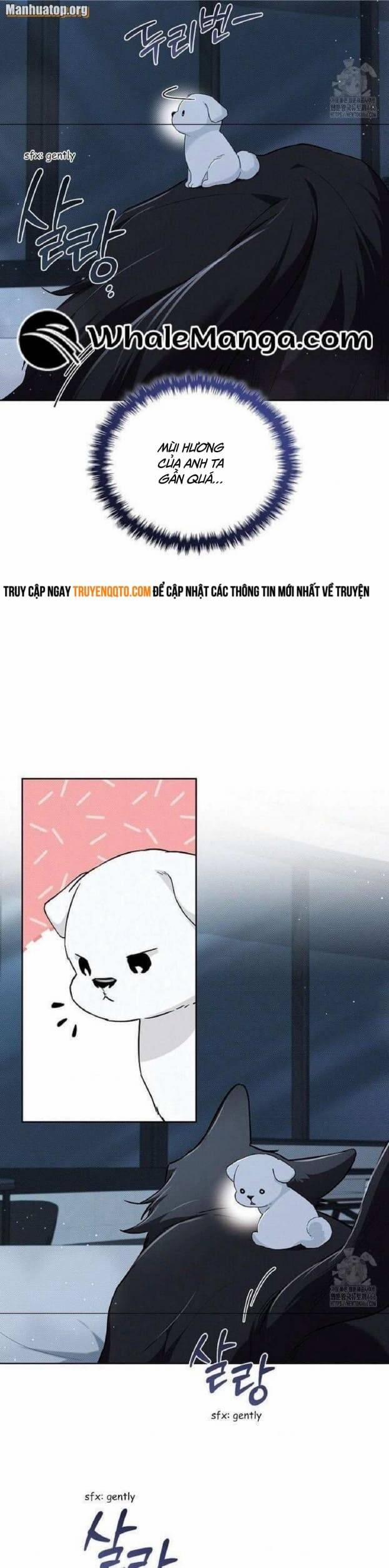 Đừng Đùa Với Cún Con 27 trang 12