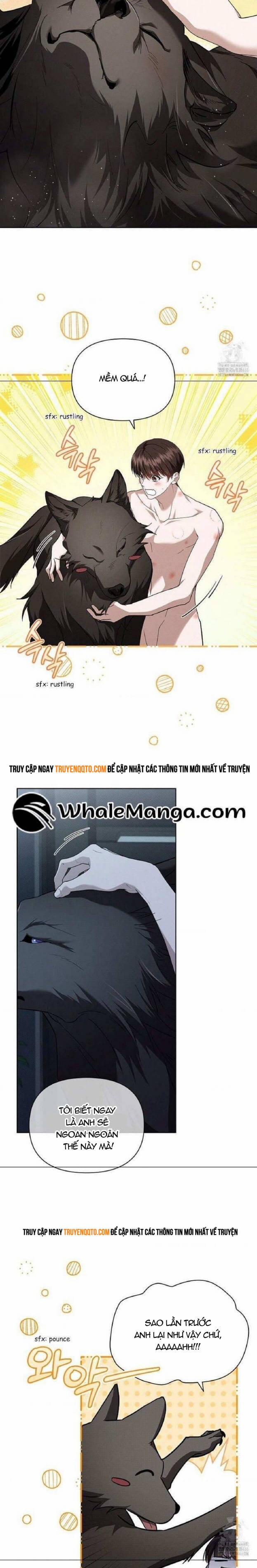 Đừng Đùa Với Cún Con 27 trang 17