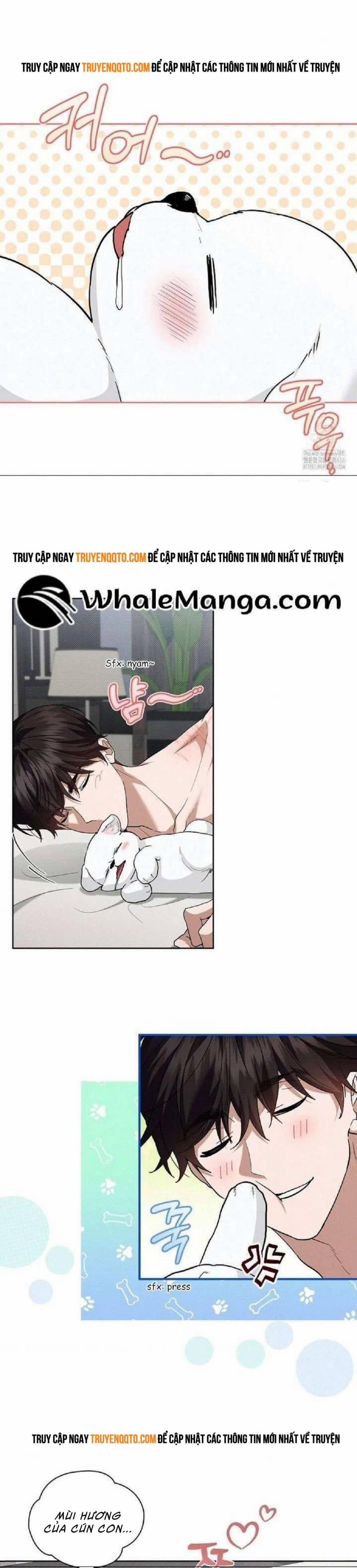 Đừng Đùa Với Cún Con 27 trang 4