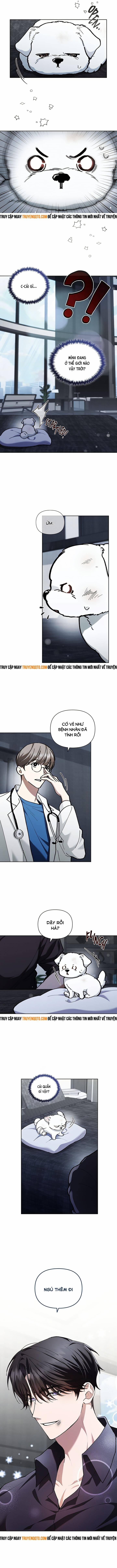 Đừng Đùa Với Cún Con 3 trang 17