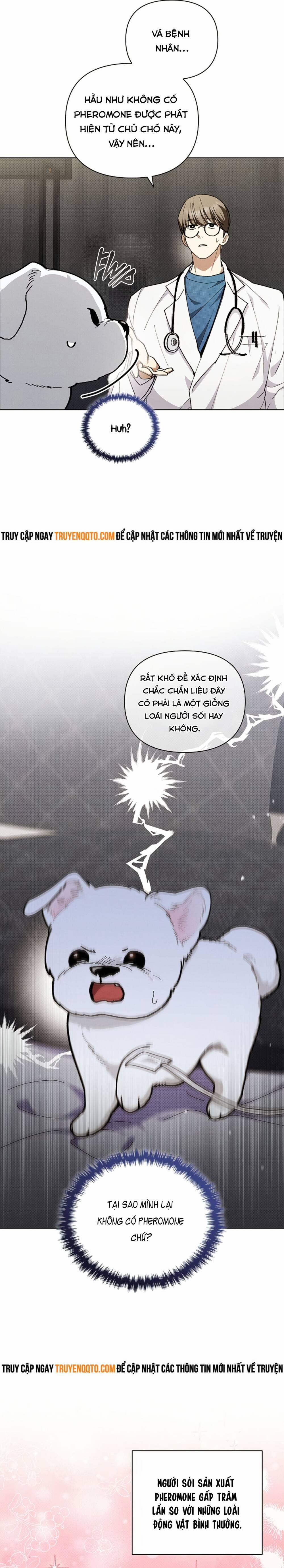 Đừng Đùa Với Cún Con 4 trang 2