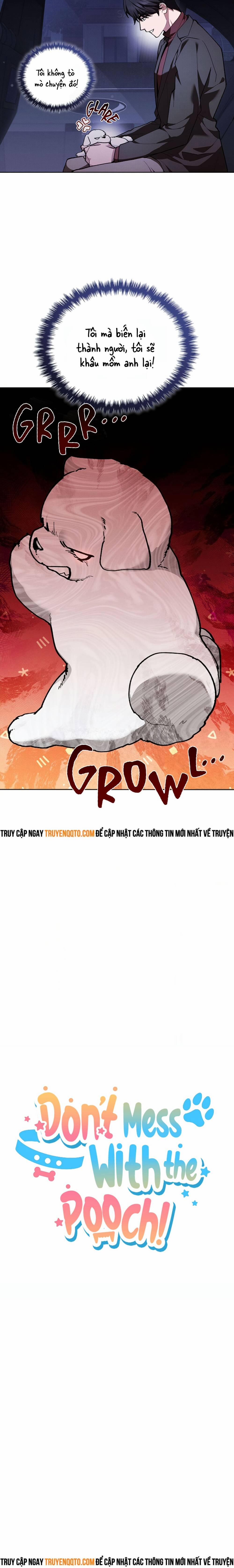 Đừng Đùa Với Cún Con 6 trang 12