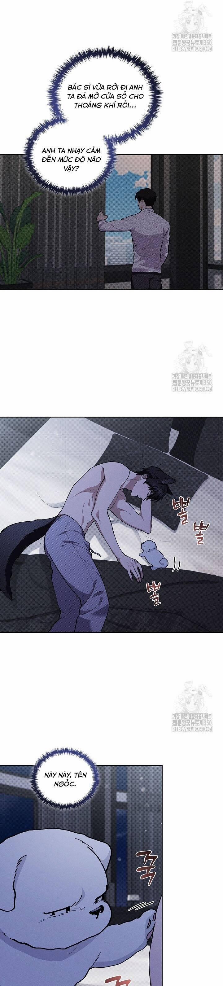 Đừng Đùa Với Cún Con 7 trang 22