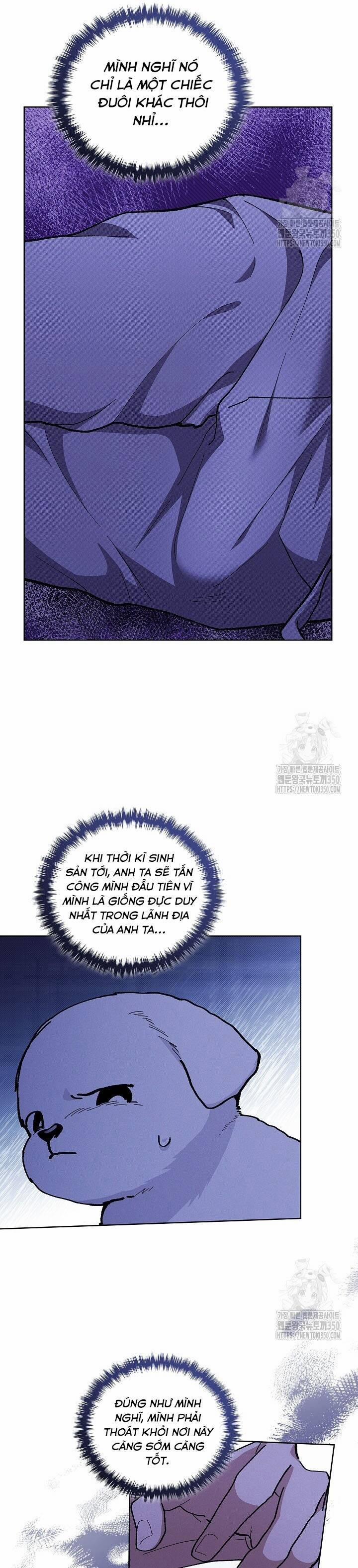 Đừng Đùa Với Cún Con 7 trang 25