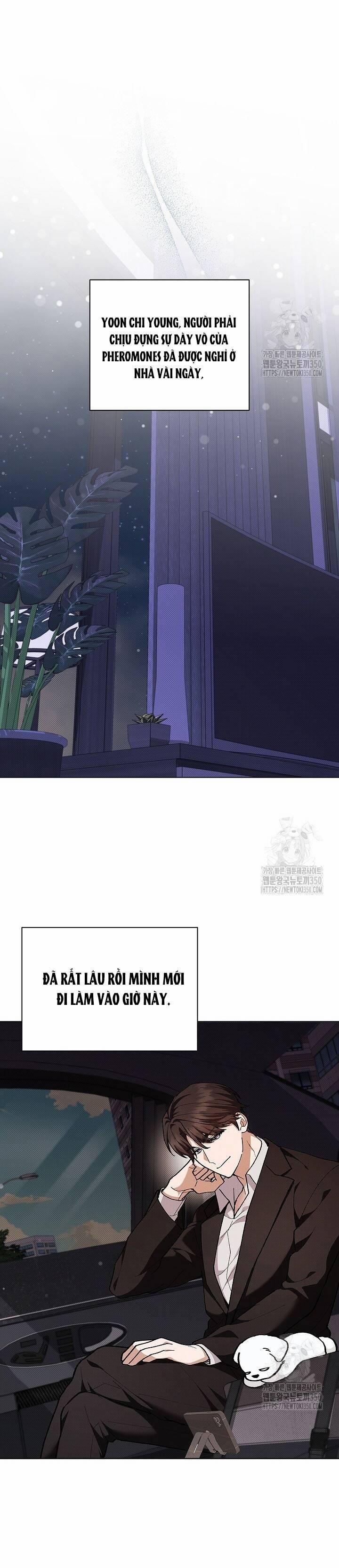 Đừng Đùa Với Cún Con 7 trang 31