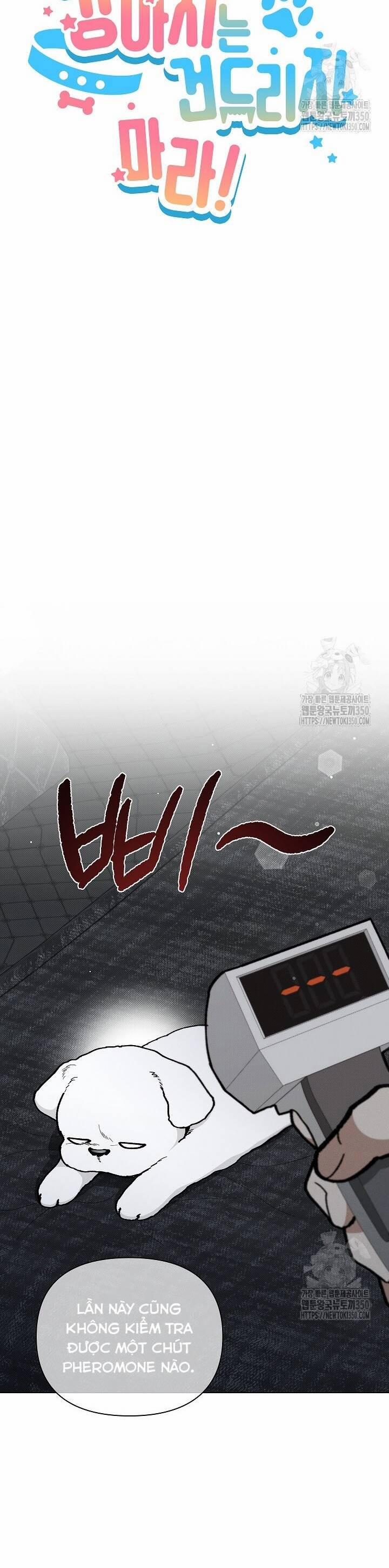 Đừng Đùa Với Cún Con 7 trang 6