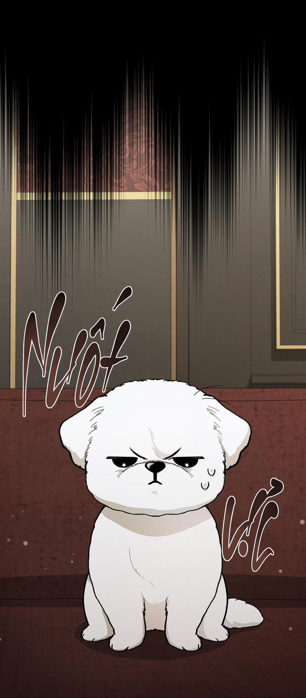 ĐỪNG ĐỤNG VÀO BÉ CÚN 2 trang 11