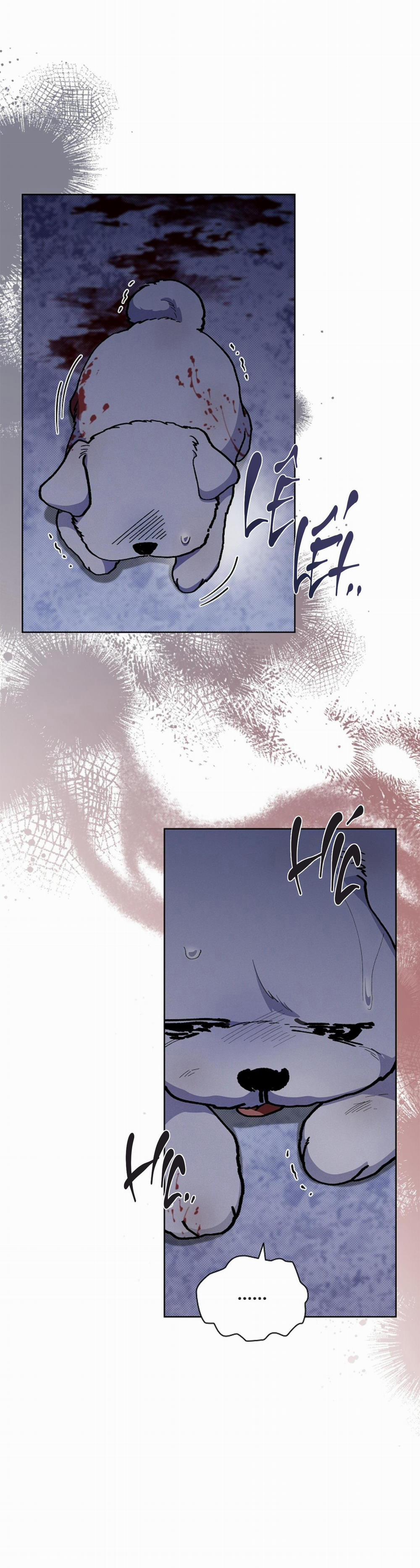 ĐỪNG ĐỤNG VÀO BÉ CÚN 3 trang 38