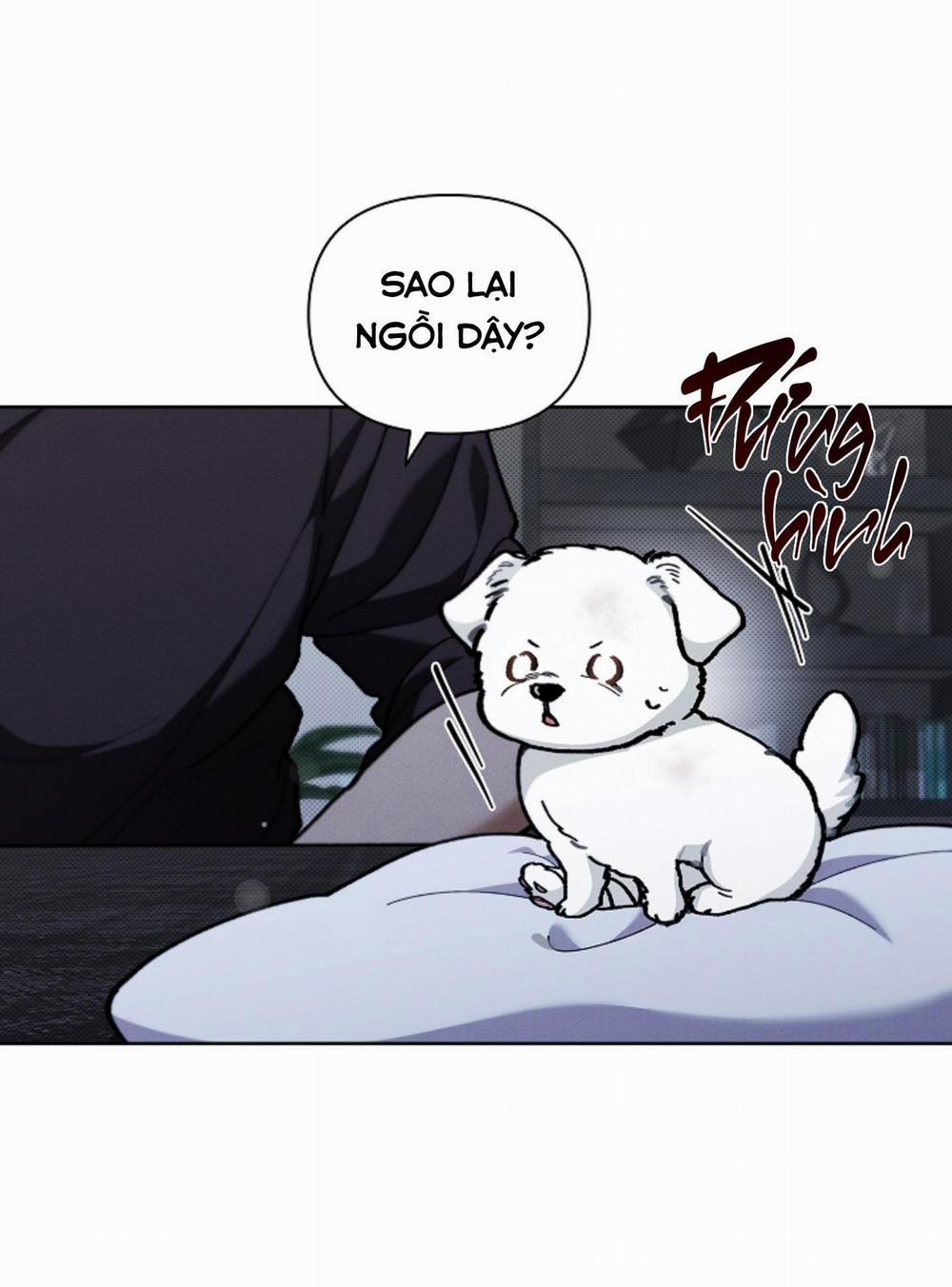 ĐỪNG ĐỤNG VÀO BÉ CÚN 3 trang 63