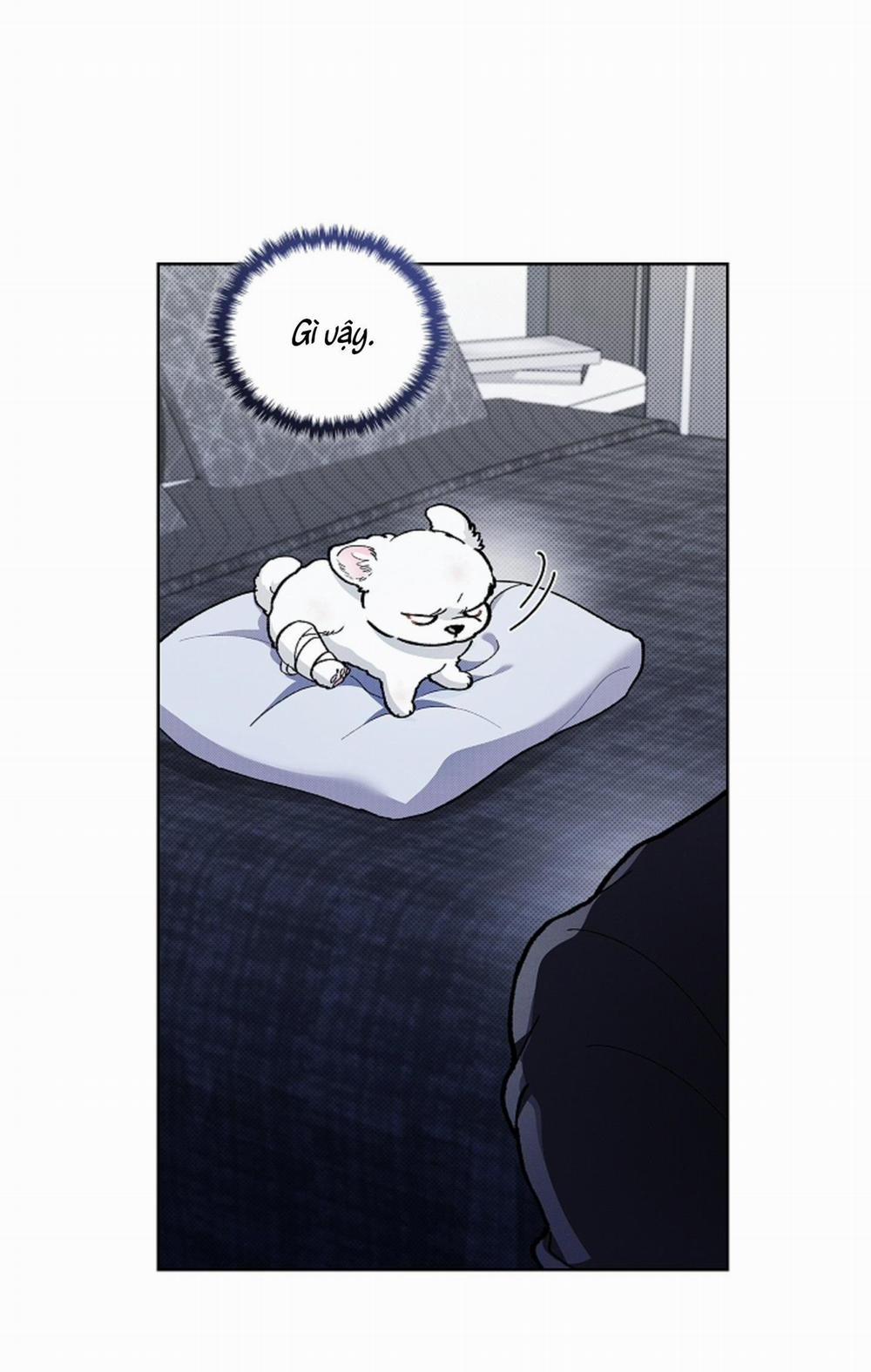 ĐỪNG ĐỤNG VÀO BÉ CÚN 3 trang 64