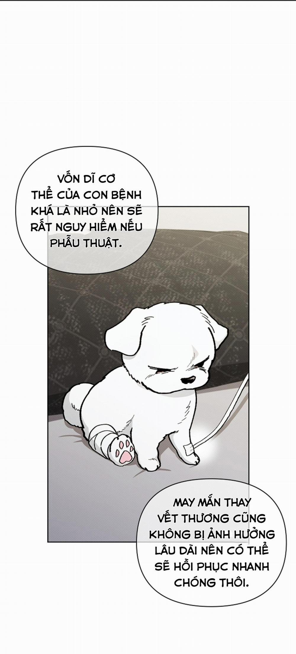 ĐỪNG ĐỤNG VÀO BÉ CÚN 4 trang 2