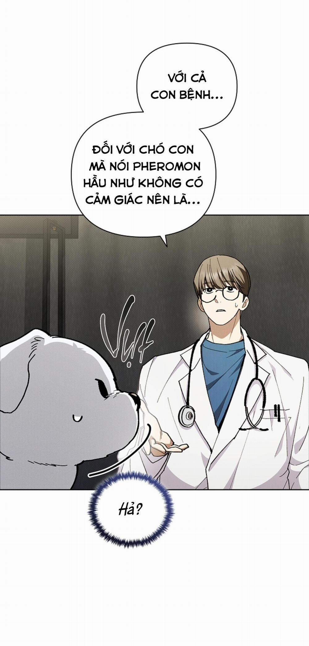 ĐỪNG ĐỤNG VÀO BÉ CÚN 4 trang 4