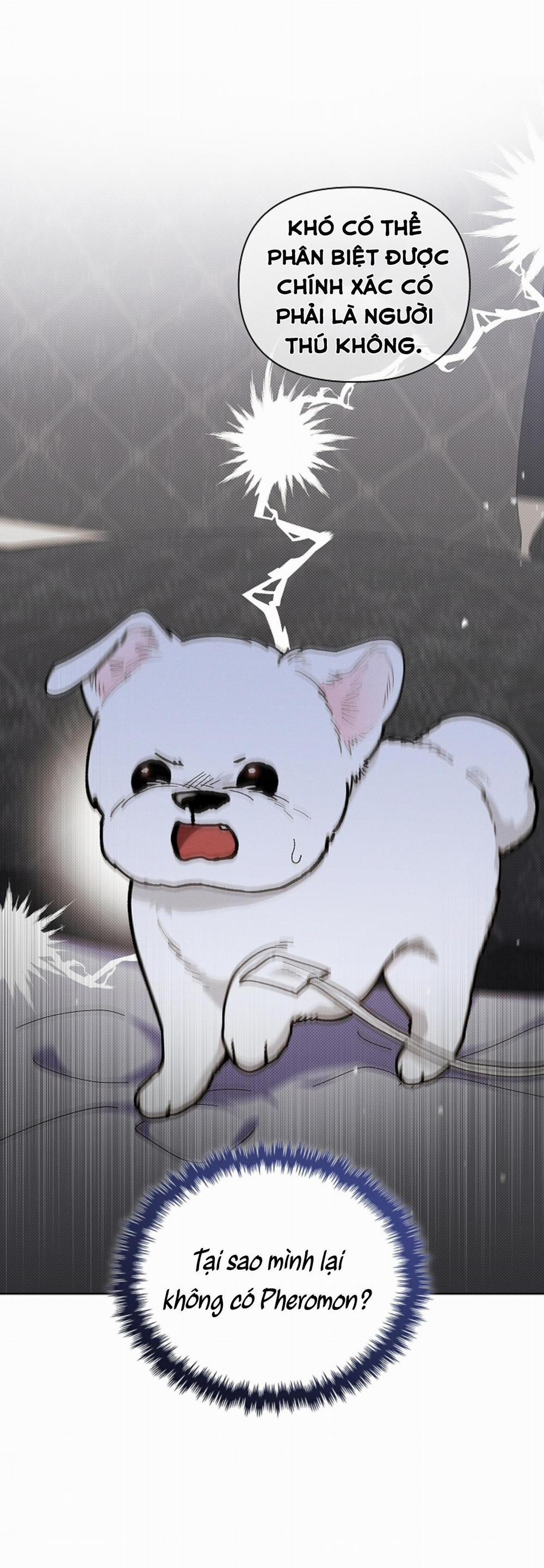 ĐỪNG ĐỤNG VÀO BÉ CÚN 4 trang 5