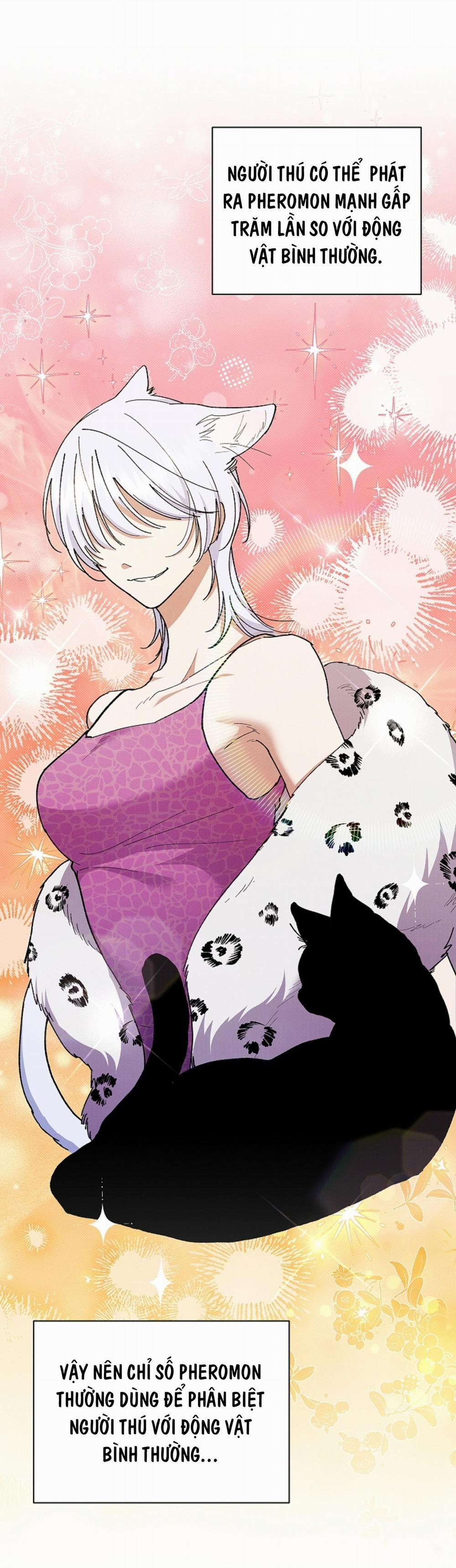 ĐỪNG ĐỤNG VÀO BÉ CÚN 4 trang 6